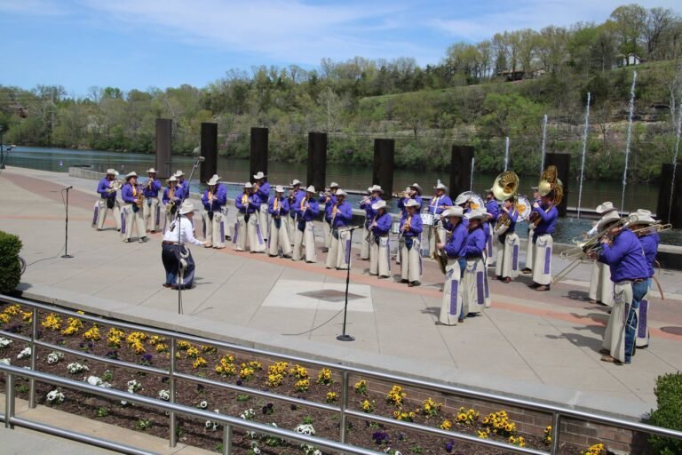 IM体育试玩 travelin band