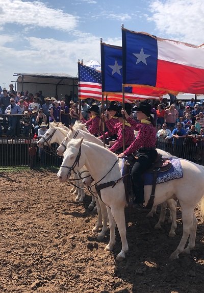 The Six White Horses lined up to ride.