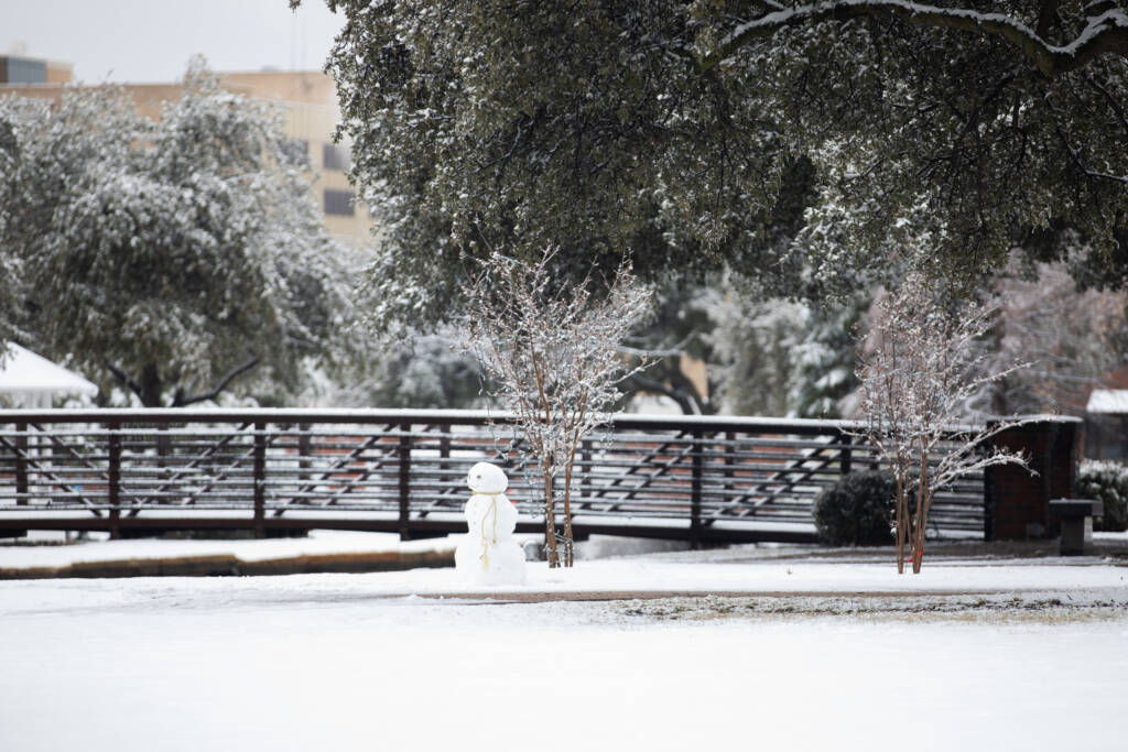 IM体育试玩 Campus Snow Day 2025