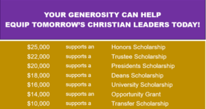 A chart to show how much a donation will give toward a scholarship